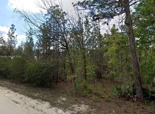LOT 10 Albany Rd, Brooksville, FL 34614