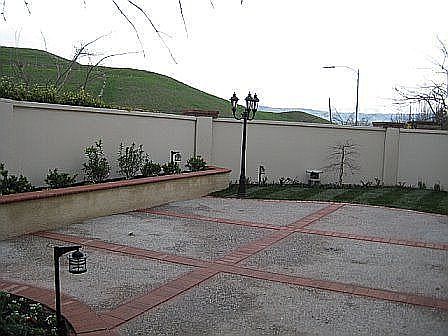 Backyard3