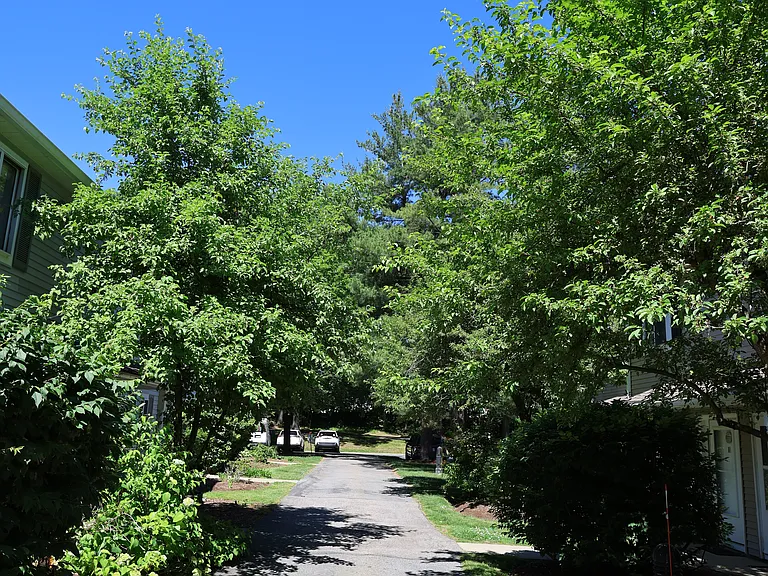 10 Village Brook Ln — Photo 103