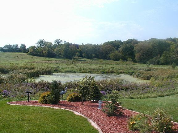 Pond View