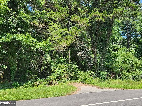 2nd image of Point Lookout Rd