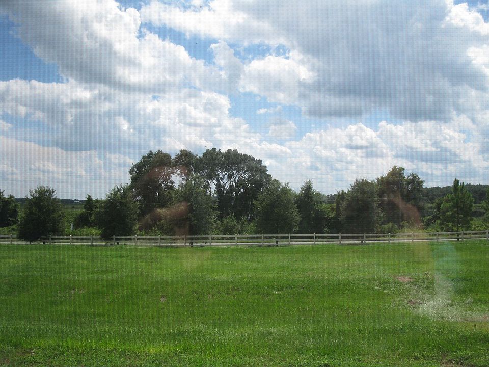 View from back
