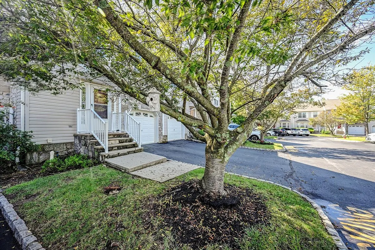 3 bed, 2.5 bath, 1500 sqft, $3,250 — Photo 3