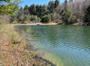 327 Big Hollow Rd, Deposit, NY 13754