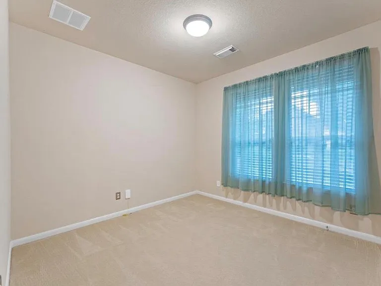 17203 Mitchell Pass Ln — Photo 13