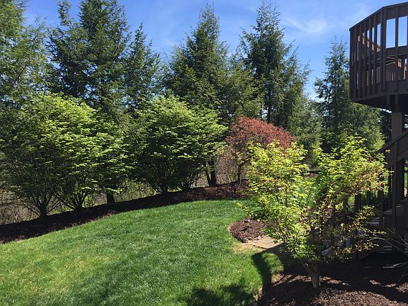5th image of 4011 Chelstead Way
