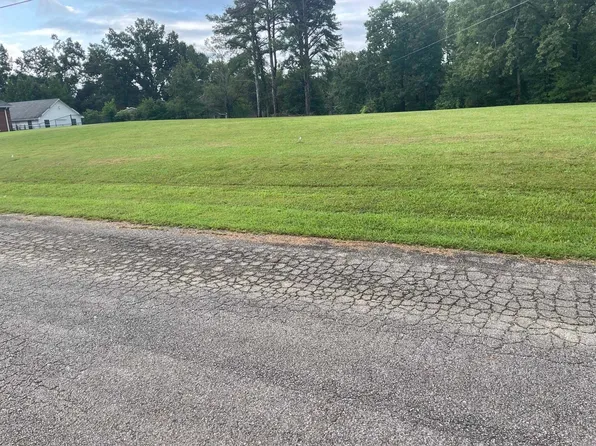 Caney Branch Rd Lot 34, Adamsville, TN 38310