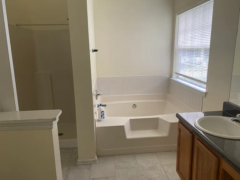 Master bathroom