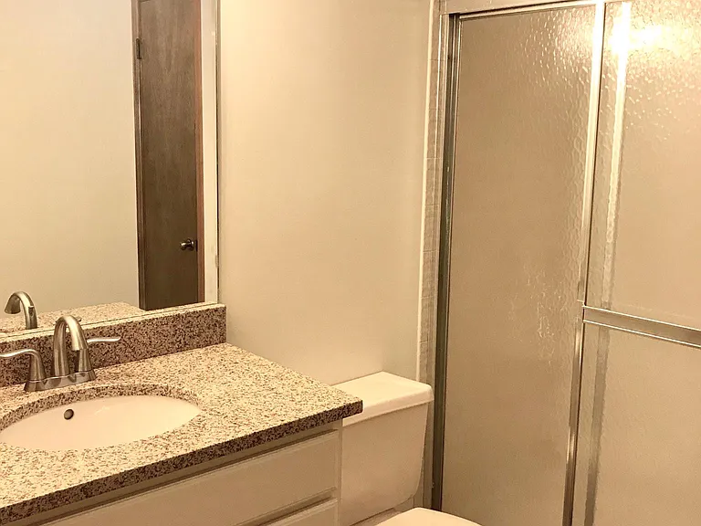 Lower Level Bathroom