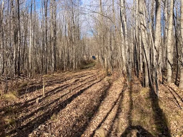 W 2o On School Rd, Glen Flora, WI 54526