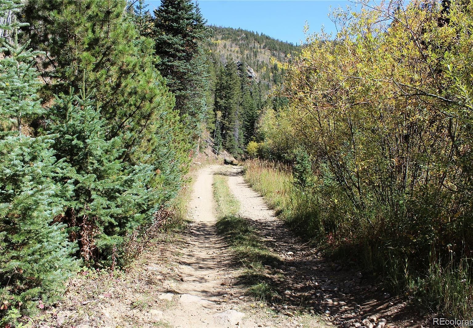 1111 Mosquito Creek Road, Central City, CO 80427 MLS 2585038 Zillow