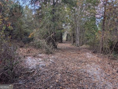 0 Highway 301 S, Jesup, GA, 31546