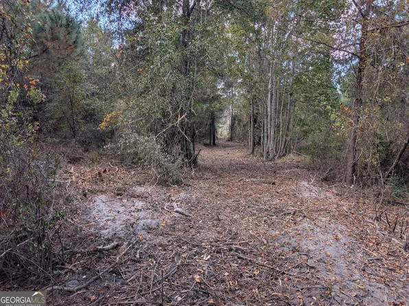 0 Highway 301 S, Jesup, GA 31546