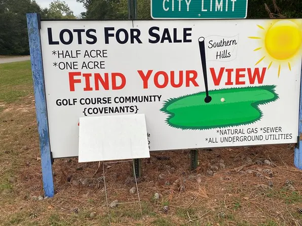 1 River Ridge Dr, Hawkinsville, GA 31036