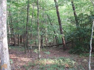 9 Sautee Trl, Saute Nacoche, GA 30571