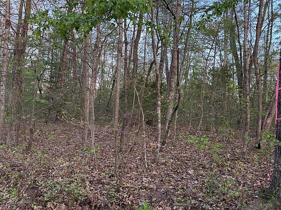 4th image of 0 Henry Rd
