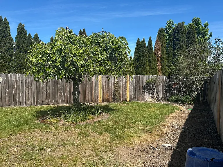 147 Summerwood Ct — Photo 15