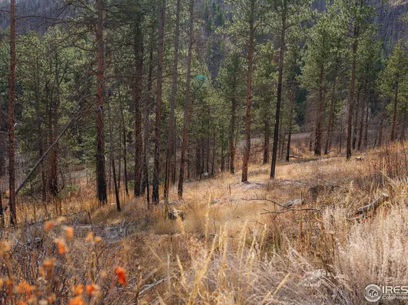 0 Cougar Cir Ct, Bellvue, CO 80512