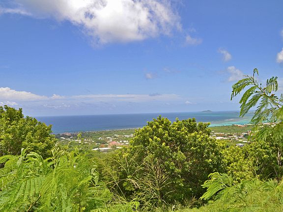 View East, Buck Island