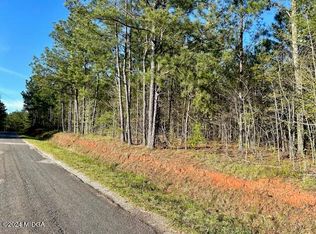 388 McCommon Rd, Forsyth, GA 31029