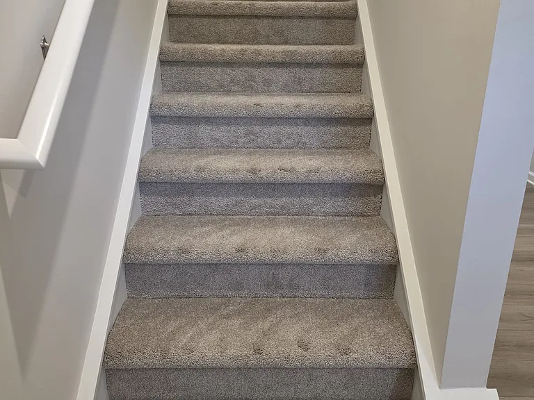 3704 Sophia Ln — Photo 24
