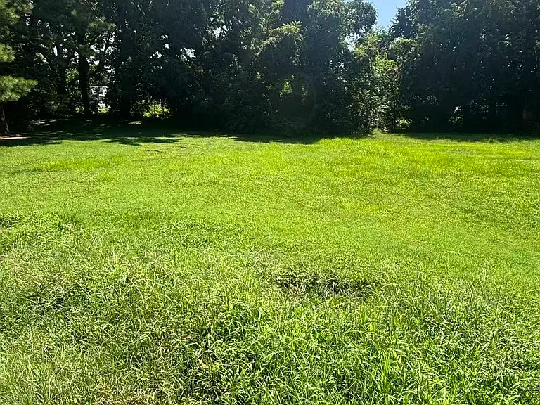 1666 McConnell Ave — Photo 9