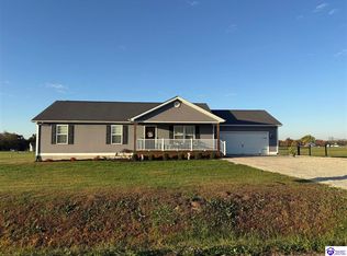 183 Long Hollow Rd, Rineyville, KY 40162
