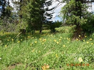 12 Ac Se Old White Bird Hill Rd, Grangeville, ID 83530