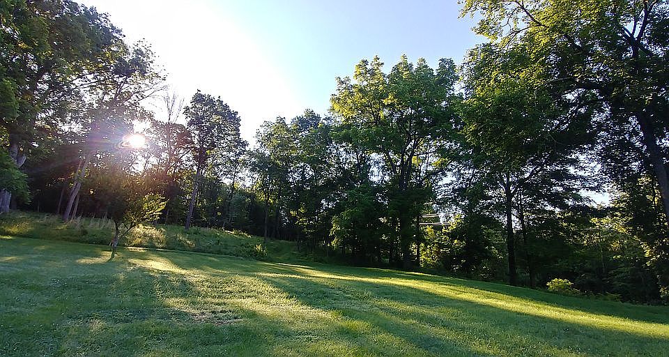 Part of the backyard. 