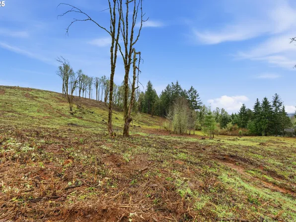 0 NW Berry Creek Rd #Par-1, McMinnville, OR 97128