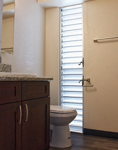 Waikiki Walina Apartments bathroom with vanity and toilet