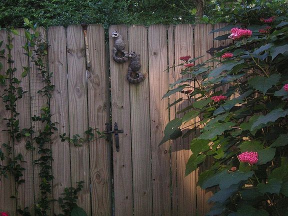 gate from driveway to back yard
