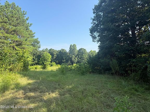 4th image of Joe Hall Rd