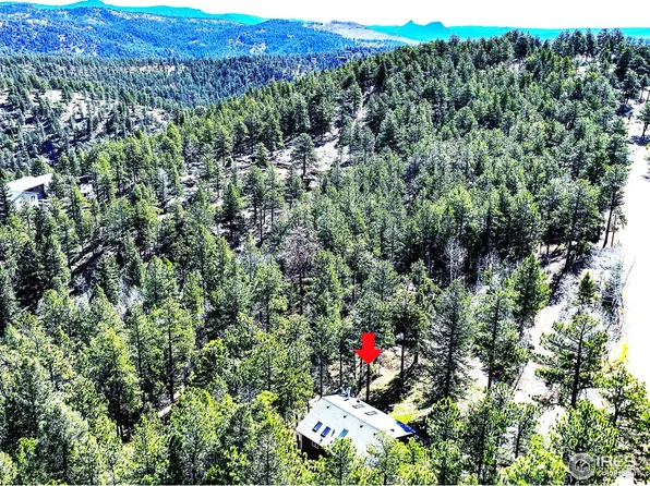239 Catamount Ridge Rd, Bailey, CO 80421
