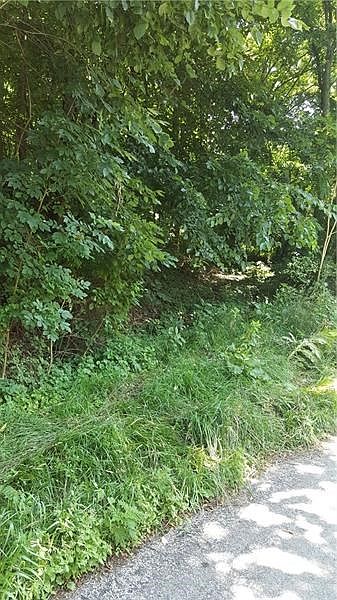 View of property from road. Dirt driveway going up to flat area.