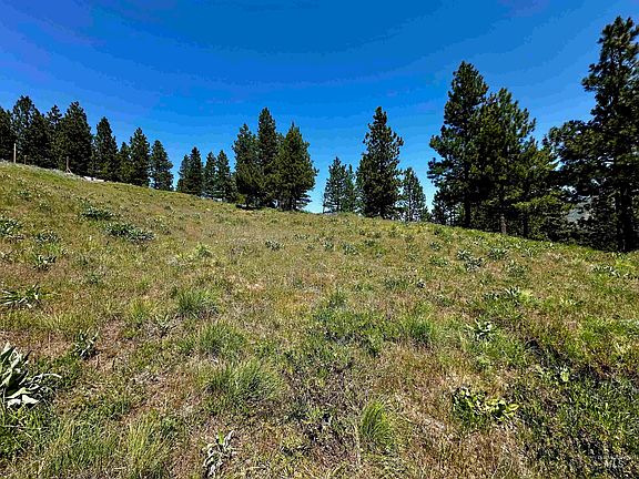 4th image of Aspen Ridge Rd