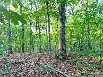 0 Moccasin Lake Rd, Winston, GA, 30187