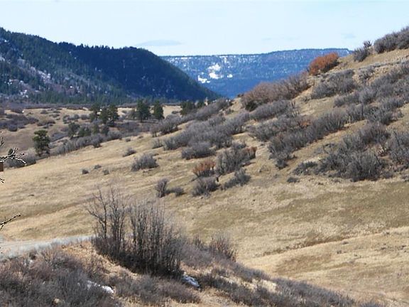 5th image of 673 Spring Creek Circle