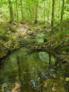 0 Holiday Lake Rd LOT 10&11, Appomattox, VA, 24522