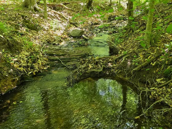 0 Holiday Lake Rd Lot 10&11, Appomattox, VA 24522