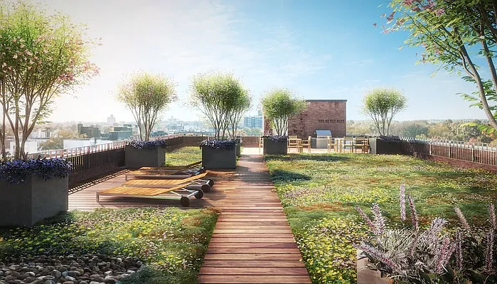 Rented by Lang Realty LLC | media 71