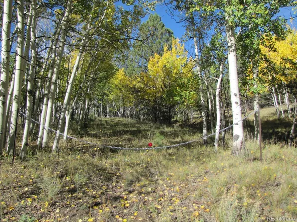 Lot 700 Campfire Road LOT 700, Hartsel, CO 80449