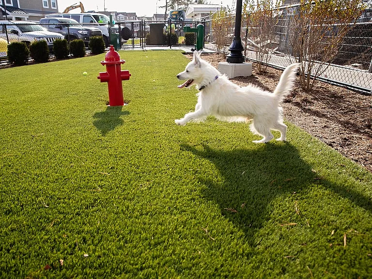 Phase II WAG Pet Park