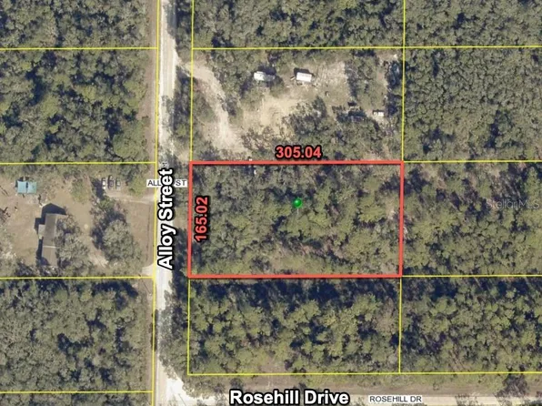 7374 ALLOY STREET LOT 10, WEBSTER, FL 33597