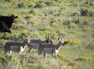 1292 Indian Meadows Rd LOT C, Williams, AZ 86046