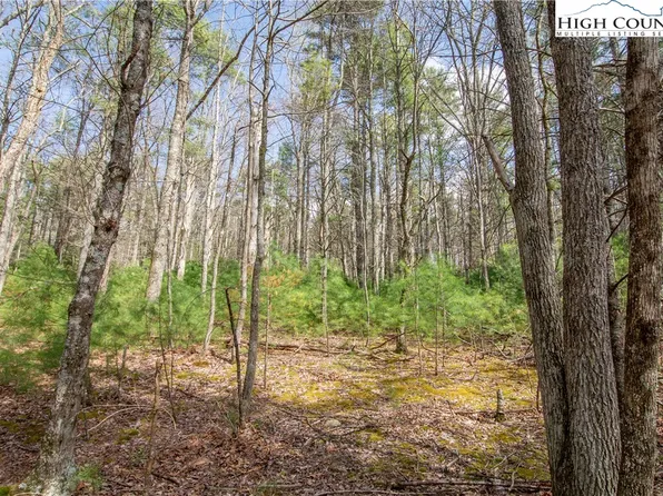 TBD Oak Tree Lane, Glendale Springs, NC 28629