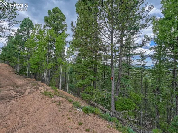 251 Osoeola Rd, Woodland Park, CO 80863