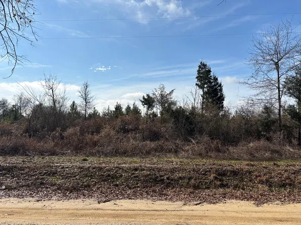 0 County Rd Parcel H, Troy, AL 36081