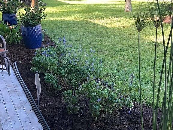 Beautiful front porch