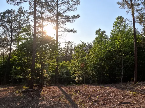 1882 Hillbrook Dr, Linden, TN 37096